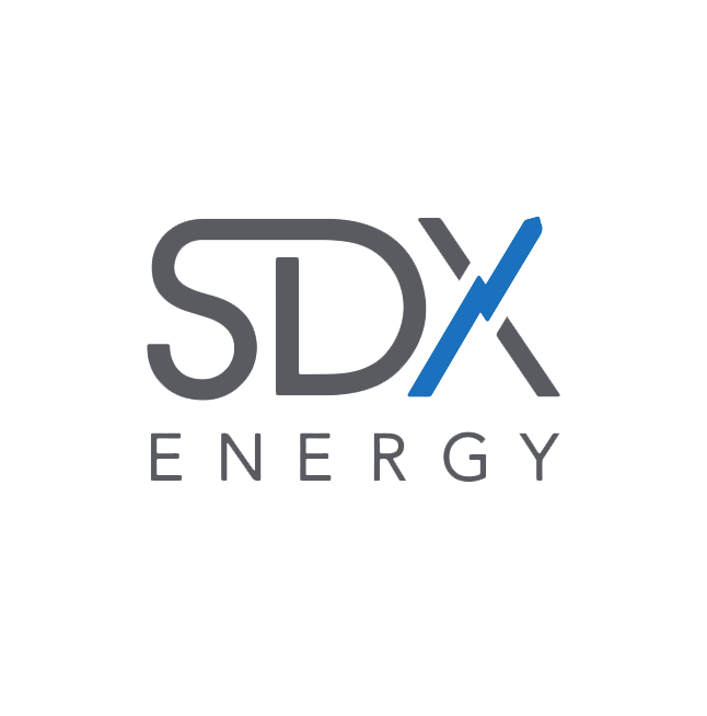 SDX Group